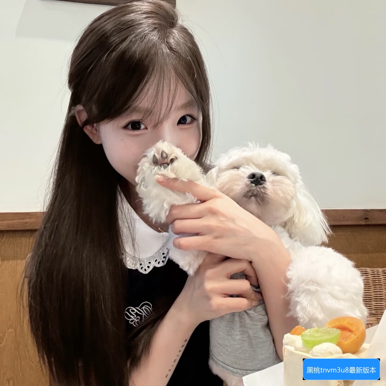 黑桃tnvm3u8官网最新版本怎么下载和使用指南